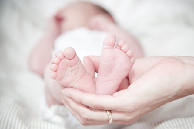https://shapemystars.com/wp-content/uploads/2025/09/pexels-reneterp-325690.jpg
